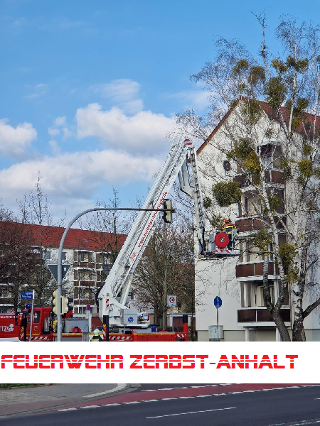 SONSTIGES SONSTIGES