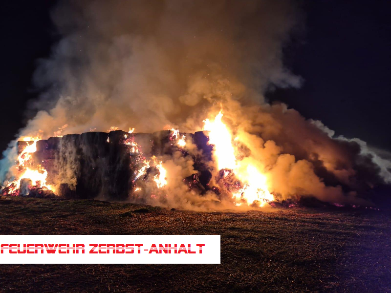 Mittelbrand Mittelbrand
