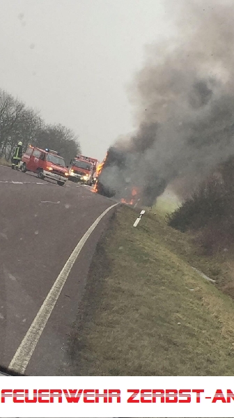 Mittelbrand Mittelbrand