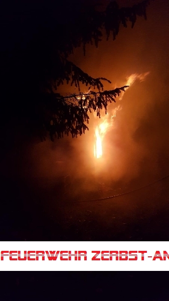 Mittelbrand Mittelbrand