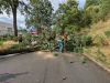 Sturmschaden
