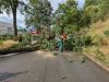 Sturmschaden