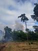 Großbrand