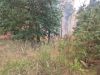 Großbrand