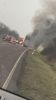 Mittelbrand