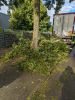 Sturmschaden